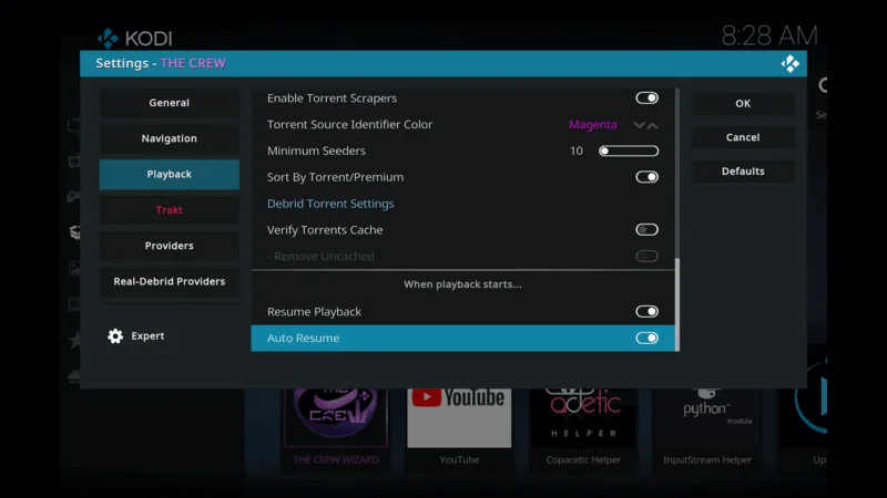 Auto Play Setting on The Crew