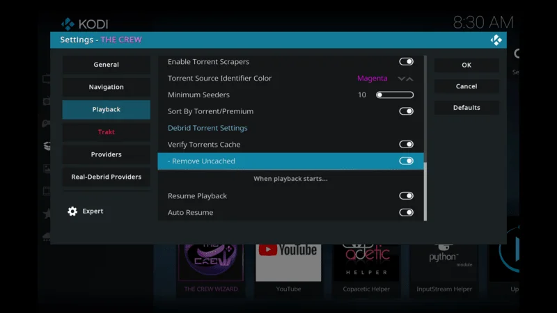 Cache Setting on The Crew