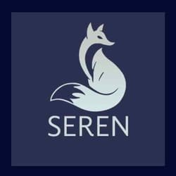 Seren best Best Kodi Addons 