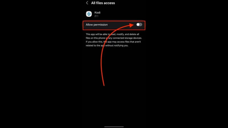 Allow File Access Storage Kodi