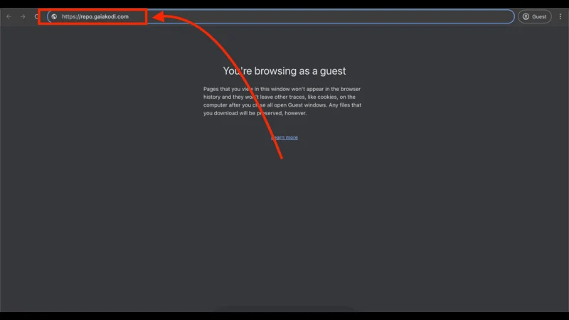 Gaia Kodi Addon Privacy