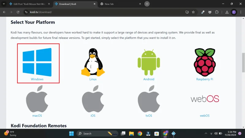 Kodi Windows 10 mouse fix 